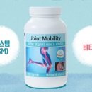 씨엠모빌리티