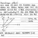 바우싱거 효과 이미지