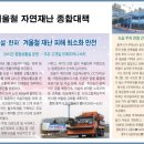 국공립멜리오어린이집 이미지