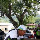 백양산임도 이미지