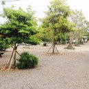 귤빛캠핑장 이미지