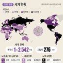 세계로여행주 이미지