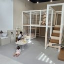 코커스101 이미지