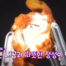 양동시장통닭 이미지