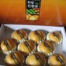 유성농장 이미지