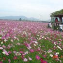 곡성 기차마을 심청 축제 (10.1 ~ 10.3) 이미지