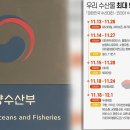 페스타 이미지