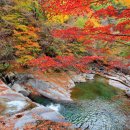 피아골단풍민박 이미지