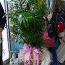 미림화원 이미지