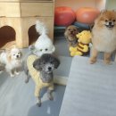 마인드몽 유치원 이미지