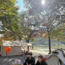 김삿갓면-2 | [영월 외룡캠핑장 2편] 할로윈 캠핑 &amp; 조식까지 완벽했던 가족캠핑 후기🎃