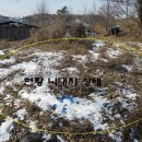 두창초등학교 이미지