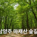 나를 찾아 떠나는 그림책 여행 | 🌲 남양주 마재산 숲길, 일상의 쉼표를 찾아 떠나는 자연 속 여행 🍃