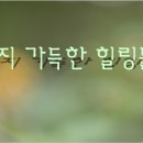퀀텀어스코어(QEC) 골드 웜(Warm) 사용기 이미지