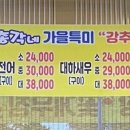 총각네 횟집