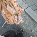 블랙루스터커피 | 눈 감아도 기억나게 어디라도 따라갈래
