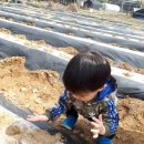 승민농장 이미지