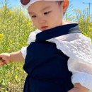 쇠소깍 공영 이미지