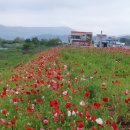 신풍면 행정복지센터 이미지