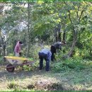 시월에농장 이미지