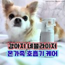 메디빌리프 이미지