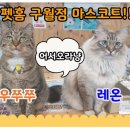 펫홈반려동물용품 - 미추홀구 미추홀대로 620 | 펫홈반려동물용품