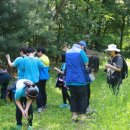 자유초등학교 이미지