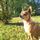 하나사랑동물병원 이미지