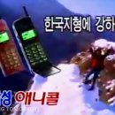 애니콜 - 여수시 시청동5길 15 | 애니콜