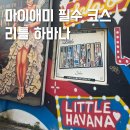 도미노컴퍼니 | 마이애미 여행 리틀하바나 볼거리 맛집 위치 가격 후기