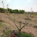 옥철농장 이미지