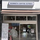 매머드익스프레스 당산양화대교남단점 | 당산 가성비 좋은 최저가커피 매머드 익스프레스 당산양화대교 남단점