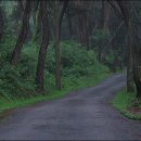 산마루로 이미지