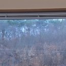 홍스테이 이미지