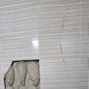 신한방병원 이미지