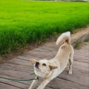 중거리마을회관 이미지