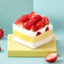 파리바게뜨 정관 롯데점 | 파바에서 각 잡고 만든 더스퀘어케이크 후기