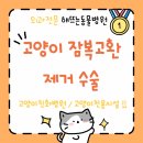 내품애동물병원 | <고양이 복강내 잠복고환 수술후기> : 해뜨는동물병원/수술전문동물병원/외과전문동물병원/진주중성화...