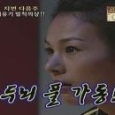 도시어부낚시카페 이미지