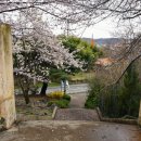 홍산초등학교병설유치원 이미지