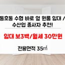 동호동 수협 앞 이미지