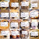 수기 | [헤이영서포터즈4기]합격수기&amp;발대식후기 낋여왔어요