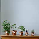 조경기능사 자격과정 이미지