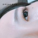 가가래쉬