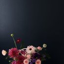 보니에플라워랩