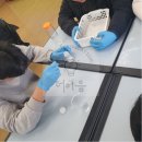 초장중학교 | [더이음교육_진로체험] DNA추출실험_부산 초장중학교_250507