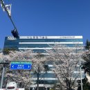 윤수타이어 | [나노종합기술원/14기 수료] 1편 추억회상: 대전에서 보낸 행복한 지난 기억 탈탈..💛😋