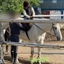 통도승마랜드 이미지