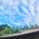 보성강2 | 심청골한옥펜션 후기, 곡성단체펜션추천으로 선택한 이유