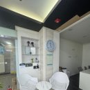 하비헤어 이미지